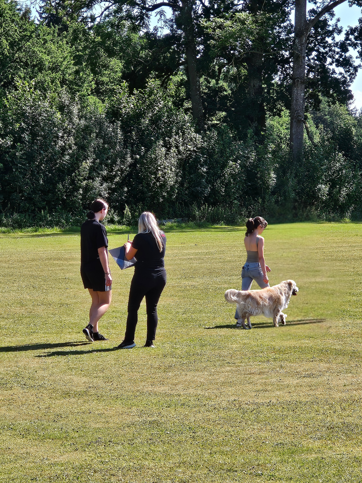 ATP Header V2